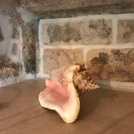 Appartement Koko *